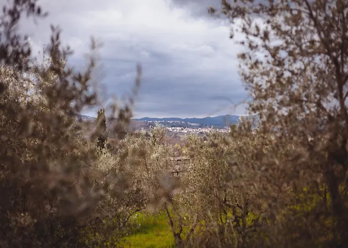 La Collina Toscana Vakantieboerderij